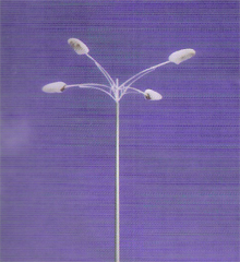 B P Projects Pvt Ltd